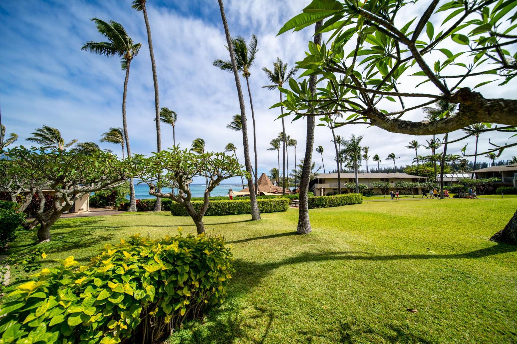 Napili Shores Maui By Outrigger - No Resort & Housekeeping Fees Lahaina Phòng bức ảnh
